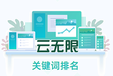 软件关键词排名